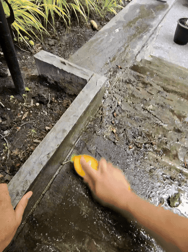 Mold removal and scrubbing